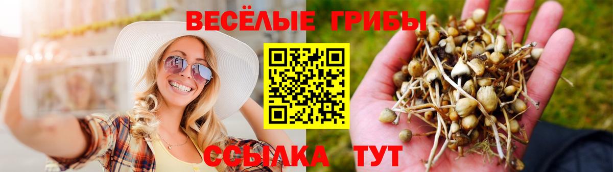 Псилоцибиновые грибы Psilocybine cubensis  Псилоцибиновые грибы прущие грибы  закладка  Кирово-Чепецк  Вход с VPN 
